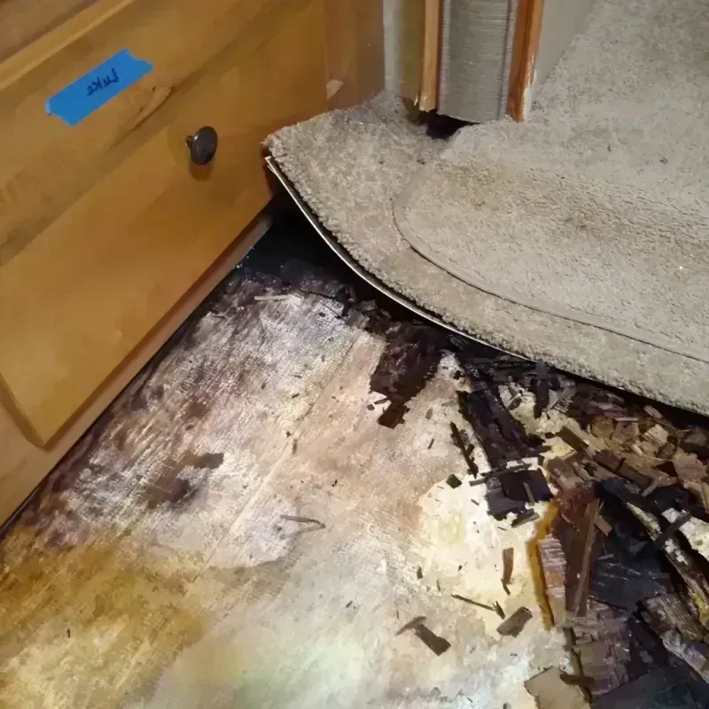 Wood Floor Water Damage in Cascade, IA